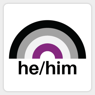 He/Him Pronouns Asexual Rainbow Sticker